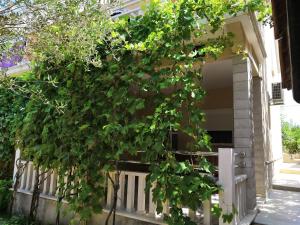 Zahrada ubytování Apartments Mira