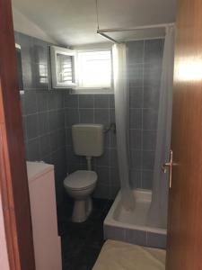 a bathroom with a toilet and a bath tub at Apartmani Šehović in Borovići