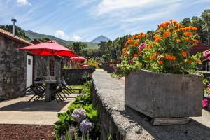 a patio with a table with an umbrella and flowers at Aldeia das Adegas in São Roque do Pico
