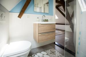 La salle de bains est pourvue de toilettes, d'un lavabo et d'une douche. dans l'établissement Aan de Dieze, à Bois-le-Duc