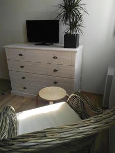 TV a/nebo společenská místnost v ubytování Apartmán "Na Třináctce" Březiny u Poličky 13