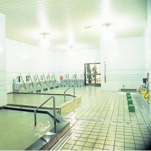 a gym with a pool of water in a room at Frontier Sunrise in Kami-furano