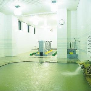 a room with a pool of water in a building at Frontier Sunrise in Kami-furano