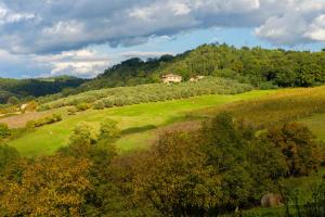 ポッジボンシにあるPodere Poggiarelloの緑地の丘の上の家