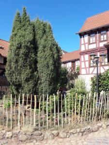 ein großer Baum hinter einem Zaun vor einem Haus in der Unterkunft Diebacher Hof in Büdingen