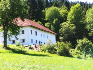 Příroda nedaleko apartmánu