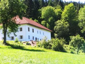 a white house on a hill with trees at Ferienhaus Herrnbauer in Zaglau