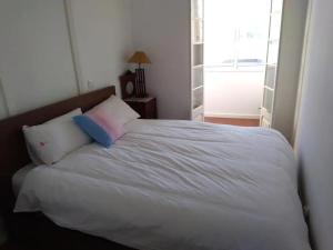 Łóżko lub łóżka w pokoju w obiekcie Apartamento sobre o Rio