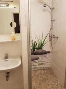 La salle de bains est pourvue d'un lavabo et d'une douche avec une plante. dans l'établissement Am Hallenbad Hotel garni, à Ratingen