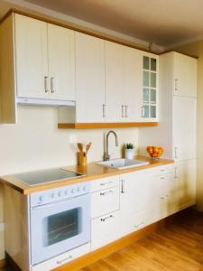 Kuchyň nebo kuchyňský kout v ubytování Apartamento Playa Ciudad