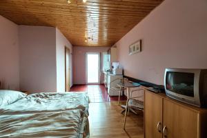 TV a/nebo společenská místnost v ubytování Apartmánový dom RED