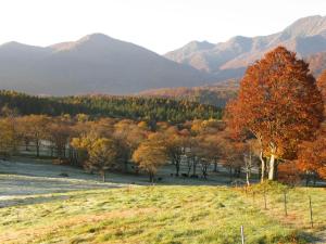 Gallery image of Park Lodge Sekine in Myoko