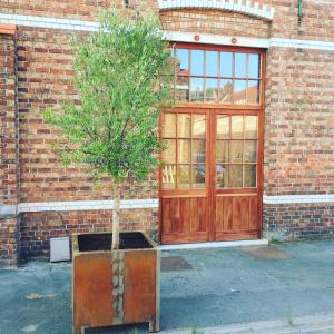 a tree in a pot in front of a brick building at b room in Bruges
