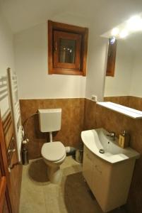 łazienka z toaletą i umywalką w obiekcie Chalet by the river w mieście Văliug