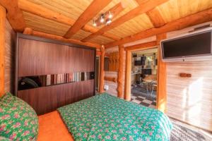 Televízia a/alebo spoločenská miestnosť v ubytovaní Apartamenty i Domki Taterka