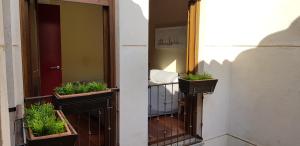 トレドにあるSanta Ursulaの鉢植えの植物と鏡が備わるバルコニー