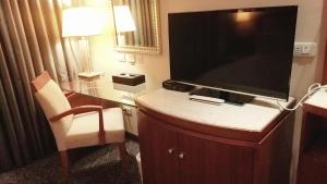 TV a/nebo společenská místnost v ubytování Elegance Hotel
