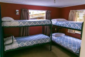 A bunk bed or bunk beds in a room at Kiwis Nest Backpackers and Budget Accommodation