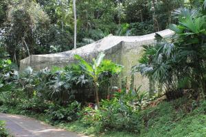 Summit Rainforest Golf Resort & All Inclusive外面的花园