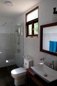 Sanda Eliya Resort في بينتوتا: حمام مع مرحاض ومغسلة ودش