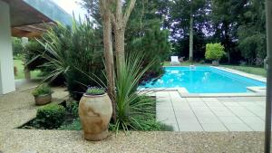 a pool with a palm tree and a large vase at Les Barrerres in Hontanx