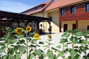 Giardino di Hotel Pod Sluncem