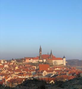 a view of a city with red roofs at Rebenhaus Meißen in Meißen