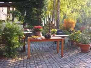 Ein Garten an der Unterkunft Hotel Schlafschön