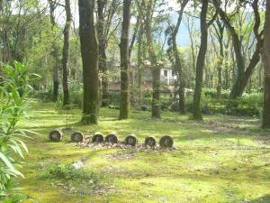 Příroda nedaleko bed and breakfast