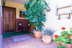 a porch with potted plants in front of a door at Rooms in El Medano in El Médano