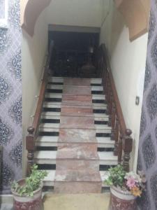 a staircase in a house with two potted plants at Hotel Welcome in Rawalpindi