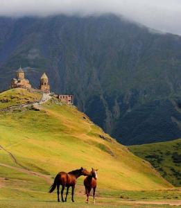 Galeriebild der Unterkunft Ineza's Guest House in Kazbegi