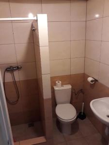 a bathroom with a toilet and a shower and a sink at Owk Korona in Mikoszewo