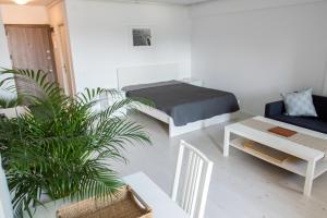 a bedroom with a bed and a table and a plant at Airport Residence - 5 Mins from Airport in Otopeni +15 photos