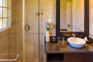 a bathroom with a sink and a shower at Shumba Valley Lodge in Lanseria