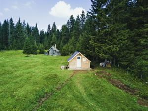 a small cabin in a field with trees at Homestay Djerkovic in Žabljak