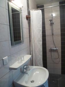 a bathroom with a sink and a shower at Les Hortensias in Millas