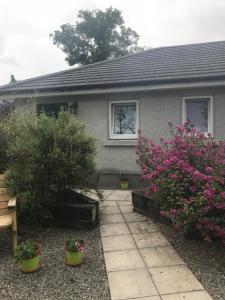 Zahrada ubytování A Selection of Self Catering Holiday Homes at Kilcloon Cottages