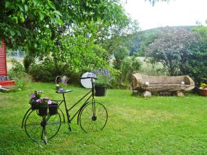 AnraffにあるFerienwohnung Bergblickの傘を差して芝生に停められた自転車 +8枚の写真