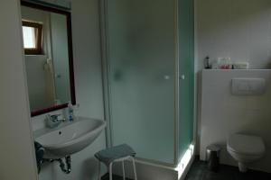 アルツル・イム・ピッツタールにあるStudio Ualyssesのバスルーム(洗面台、トイレ、シャワー付)