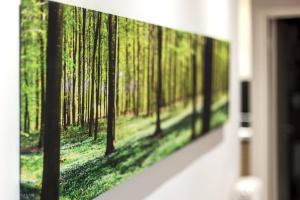 a picture of a forest of trees in a mirror at TONI'S Brand-New Studio next to Syntagma Square in Athens