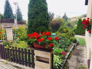 Zahrada ubytování Villa Cihelna apartments
