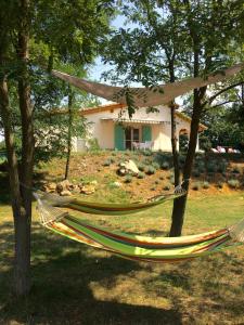 A garden outside Villa Flora Lavenda