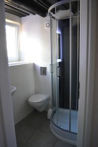 a bathroom with a toilet and a glass shower at Ferienhaus Pfistermühle in Wissembourg