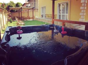 een zwembad met drie flamingo's in een achtertuin bij Da Vinci Guesthouse in Varshets