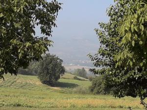 Príroda v okolí farmy