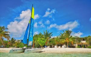 two boats sitting on a beach with palm trees at Crown Beach Hotel Maldives - Our Lobby is a Private Beach in Dhiffushi