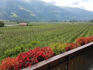 Un paisaje natural cerca of the bed and breakfast