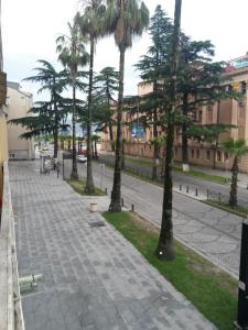 a sidewalk with palm trees on a city street at View of the Tower of Alphabet in Batumi