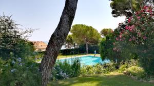 Bazén v ubytovaní Espectacular apartamento en el corazón de Calella! alebo v jeho blízkosti